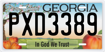 GA license plate PXD3389