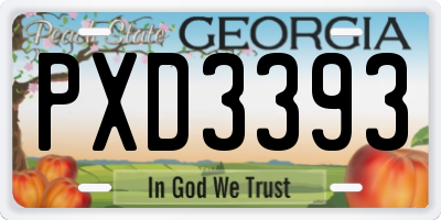 GA license plate PXD3393