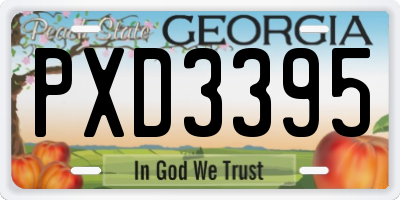 GA license plate PXD3395