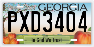GA license plate PXD3404