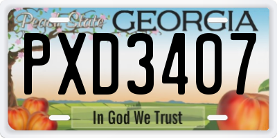 GA license plate PXD3407