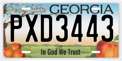GA license plate PXD3443