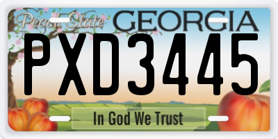 GA license plate PXD3445