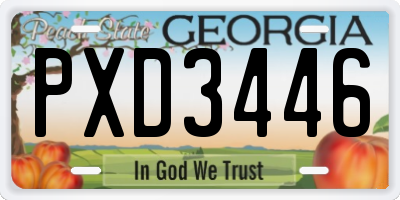 GA license plate PXD3446