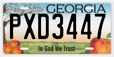 GA license plate PXD3447