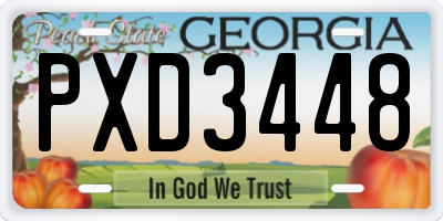 GA license plate PXD3448