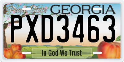 GA license plate PXD3463