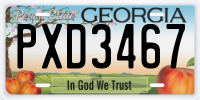 GA license plate PXD3467
