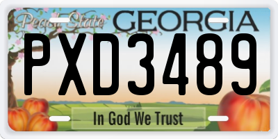 GA license plate PXD3489