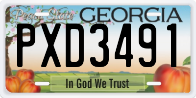 GA license plate PXD3491