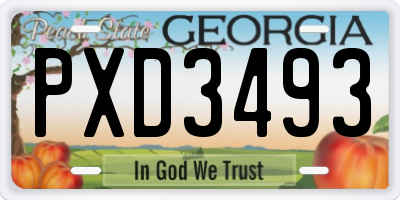 GA license plate PXD3493