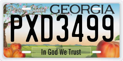 GA license plate PXD3499