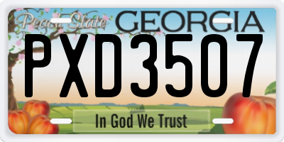 GA license plate PXD3507