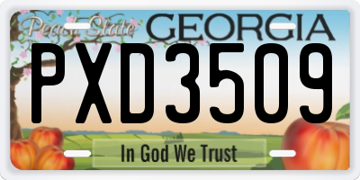 GA license plate PXD3509