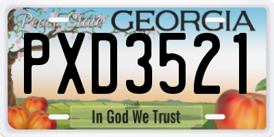 GA license plate PXD3521