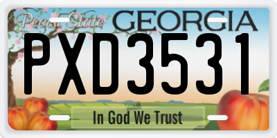GA license plate PXD3531