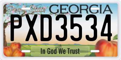 GA license plate PXD3534