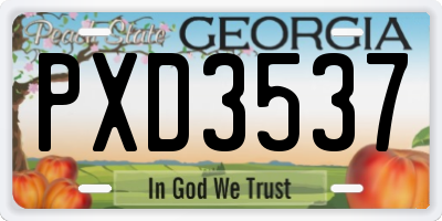 GA license plate PXD3537
