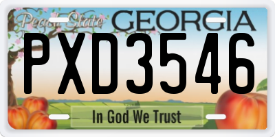 GA license plate PXD3546
