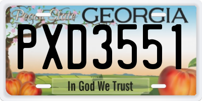 GA license plate PXD3551