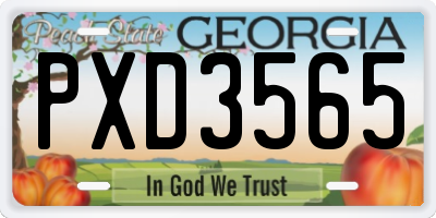GA license plate PXD3565