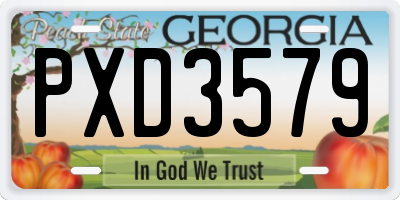 GA license plate PXD3579