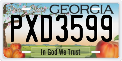 GA license plate PXD3599