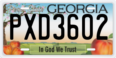 GA license plate PXD3602