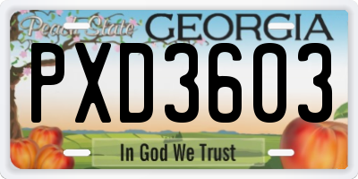 GA license plate PXD3603