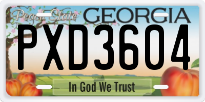 GA license plate PXD3604