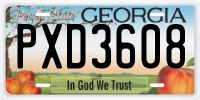 GA license plate PXD3608