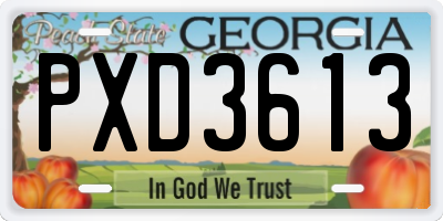 GA license plate PXD3613