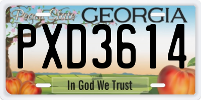 GA license plate PXD3614