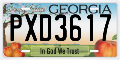 GA license plate PXD3617