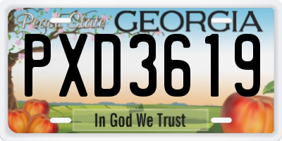 GA license plate PXD3619