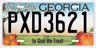 GA license plate PXD3621