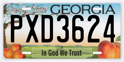 GA license plate PXD3624