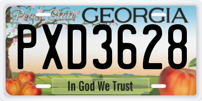 GA license plate PXD3628