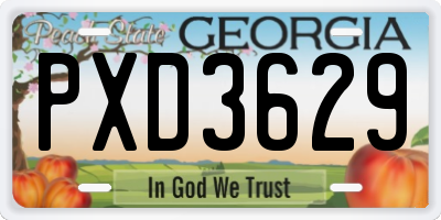 GA license plate PXD3629