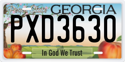GA license plate PXD3630