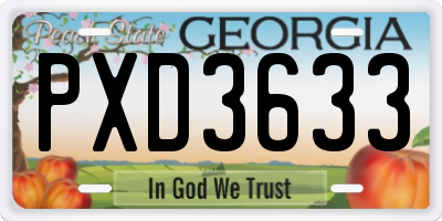 GA license plate PXD3633