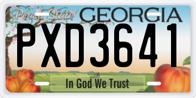 GA license plate PXD3641