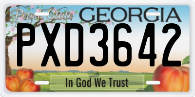 GA license plate PXD3642