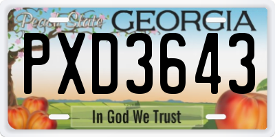 GA license plate PXD3643