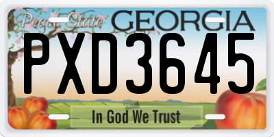 GA license plate PXD3645
