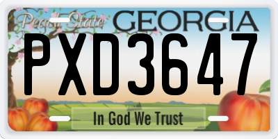 GA license plate PXD3647