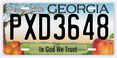 GA license plate PXD3648
