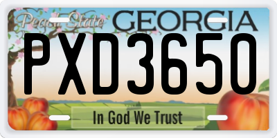 GA license plate PXD3650