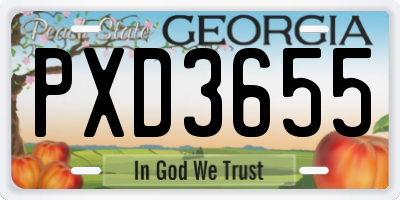 GA license plate PXD3655