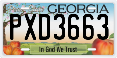 GA license plate PXD3663